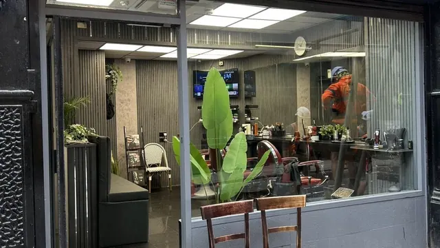The shop seen through the window: barber chairs, plants and screens